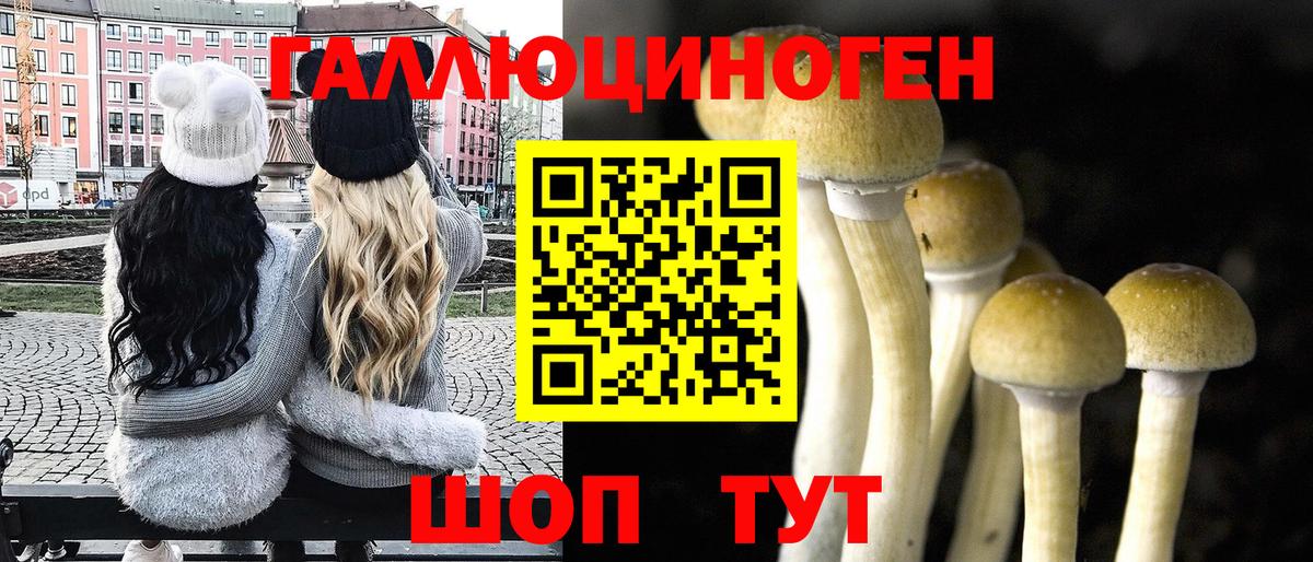 Галлюциногенные грибы Cubensis  Вход с VPN  Галлюциногенные грибы MAGIC MUSHROOMS  Касимов 